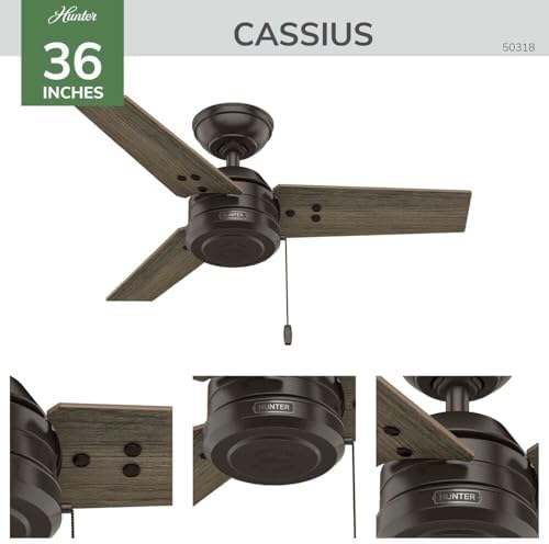 36" Cassius Indoor/Outdoor Ceiling Fan, Pull Chain, Matte Black in Matte Black, alternate view 4
