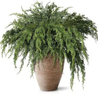 36" Large Artificial Christmas Cedar Branches for Vase Decoration (6 Pcs)
