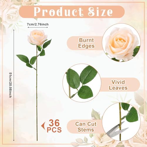 36 Pcs Champagne Artificial Roses with Long Stems in Champagne, alternate view 2