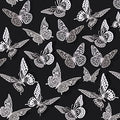 3D Butterfly Wall Decor 48 Pcs Pearl White Butterfly Decorations