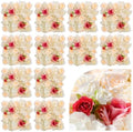 3D Flower Wall Backdrop 12 Pcs 15×15 Inch Champagne in 15×15 Inch