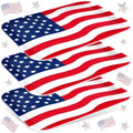 3Pcs Patriotic Serving Trays 250th Anniversary USA Flag Melamine Platter 13 x 10 Inch Red Blue White 4th of July