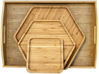 4 Pack Food Trays for Party Large One with Handle in 2hexagon+1square