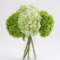 4 Pcs Green Hydrangea Artificial Flowers, Latex Real Touch Hydrangeas in 2 Dark Green & 2 Light Green