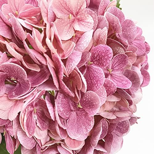 4 Pcs Real Touch Hydrangea Artificial Flower Lifelike 21'' Long Stem Latex Hydrangea Flower for Thanksgiving, alternate view