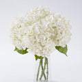 4 Pcs White Hydrangea Artificial Flowers Realistic Real Touch Latex Flower in 4 White