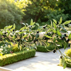4 Strands Faux Olive Branches Garland 67IN Greenery Garland for Table Decor, alternate view 7