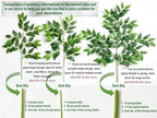 40pcs Italian Ruscus Greenery Garland 68cm Artificial Greenery Stems Home Decor, alternate view 4