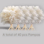 40PCS White Pampas Grass for Home Decor - Elegant Boho Decor - Premium Quality Pampas Grass Stems - Perfect for, alternate