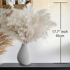 40PCS White Pampas Grass for Home Decor - Elegant Boho Decor - Premium Quality Pampas Grass Stems - Perfect for, alternate