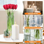 48 Pack Thick Glass Cylinder Vases 4,6,9,12 Inch Tall Clear Flower Vase Hurricane Floating Candle Holder for, alternate view