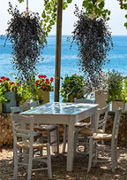 4Pcs Artificial Black Hanging Wisteria Plant 31.5In Halloween Decor, alternate view 6