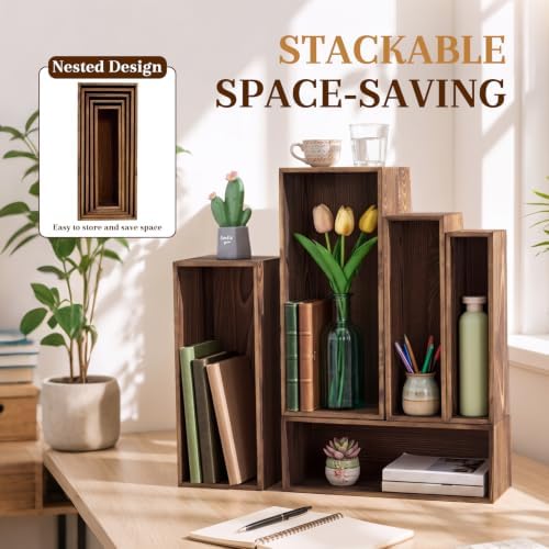 5 Pcs 16 in Buffet Display Risers Set, Dark Wood, Medium in Medium in Dark Wood, alternate view 5