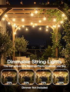 50FT Brown Outdoor String Lights, Shatterproof LED Globe Edison String Lights with 50 G40 LED Bulbs, Waterproof, alternate