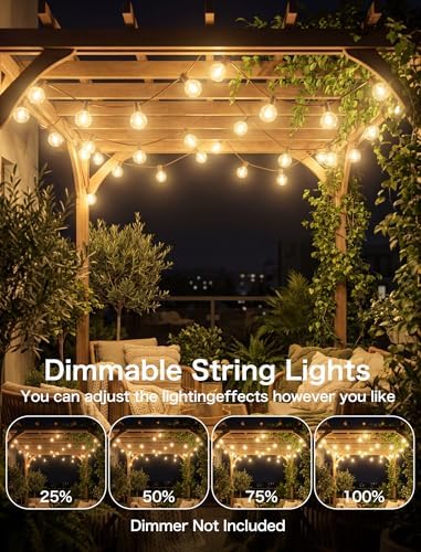 50FT Brown Outdoor String Lights, Shatterproof LED Globe Edison String Lights with 50 G40 LED Bulbs, Waterproof, alternate
