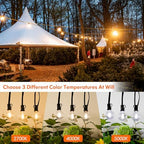 50FT LED Outdoor String Lights with Dimmable 3 Color Lights with Remote, alternate view 2