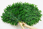 56pcs Italian Ruscus Greenery Stems 68cm Artificial Smilax Greenery Branch