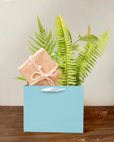 5PCS Lake Blue Gift Bags with Ribbon Handles 9.6"x7.9"x4.3" Medium Size Gift Bags (Tissue Paper included, Medium, alternate