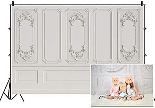 5x3ft Vintage Room Inside Backdrop European Frame Modern House French Castle Cementery Wall Retro Style Photo