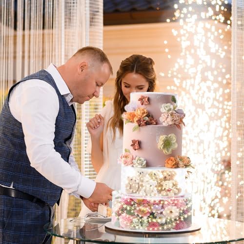 6 10 Inch 2-Pack Clear Round Acrylic Cake Stand for Party in Clear, alternate view 6