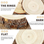 6 Pack Nature Unfinished Round Wood Slices, 7-8 Inches Wooden Circle, Large Wood Slabs for Weddings Centerpieces, alternate