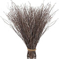 60Pcs Real Dried Birch Twigs Branches 16 Natural Decorative Birch Branches