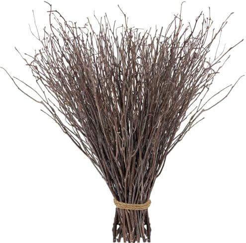 60Pcs Real Dried Birch Twigs Branches 16 Natural Decorative Birch Branches