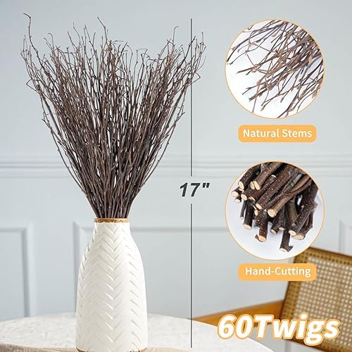 60Pcs Real Dried Birch Twigs Branches 16 Natural Decorative Birch Branches, alternate view 2