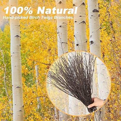 60Pcs Real Dried Birch Twigs Branches 16 Natural Decorative Birch Branches, alternate view 3
