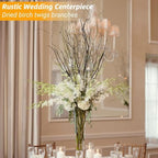 60Pcs Real Dried Birch Twigs Branches 16 Natural Decorative Birch Branches, alternate view 6