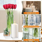 64 Pack Thick Glass Cylinder Vases 4,6,9,12 Inch Tall Clear Flower Vase Hurricane Floating Candle Holder for, alternate view