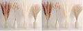65PCS Pampas Grass Decor, Including pompas Floral, Reed Dried Grass and Bunny Tails Dried Flowers, Natural Dried