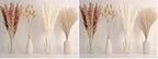65PCS Pampas Grass Decor, Including pompas Floral, Reed Dried Grass and Bunny Tails Dried Flowers, Natural Dried
