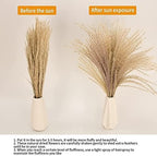65PCS Pampas Grass Decor, Including pompas Floral, Reed Dried Grass and Bunny Tails Dried Flowers, Natural Dried, alternate