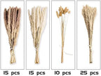 65PCS Pampas Grass Decor, Including pompas Floral, Reed Dried Grass and Bunny Tails Dried Flowers, Natural Dried, alternate