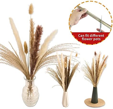 65PCS Pampas Grass Decor, Including pompas Floral, Reed Dried Grass and Bunny Tails Dried Flowers, Natural Dried, alternate
