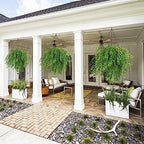 6Pcs Artificial Weeping Willow Plastic Leaves Greenery UV Resistant, alternate view 6