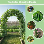 7.8ft Garden Arch, Metal Trellis for Climbing Plants Outdoor, alternate view 4
