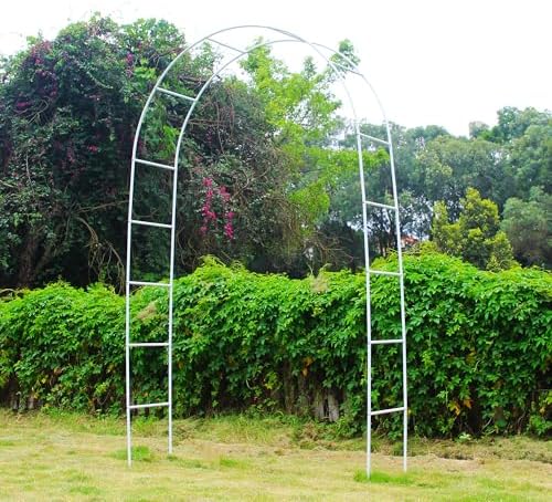7.9 Ft H x 4.6 Ft W White Metal Pergola Arbor for Various Climbing Plant Wedding Garden Arch Bridal Party