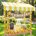 7 Pcs Lemonade Stand Supplies Lemonade Bar Party Decorations with 1 Set Plastic Stand 1 Yellow and White Striped