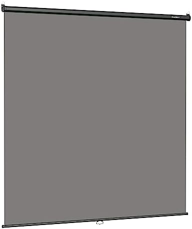 78.7 x 86.6in Retractable Pull Down Wall-Mount Gray Screen Backdrop