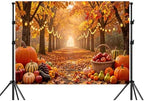 7X5ft Autumn Harvest Backdrop, Fall Forest Lane with Maple Leaves, Pumpkins String Lights Thanksgiving Party, alternate view
