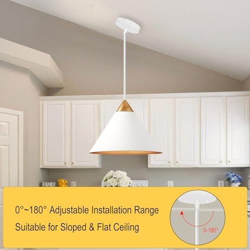 8 Pieces M10 Threaded Extension Poles Lighting Fixture Downrods Stems & 180 Degrees Sloped Ceiling Adapter Kits, alternate