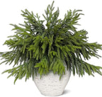 80Pcs 18"Lifelike Touch Artificial Christmas Norfolk Pine Branches for Vase
