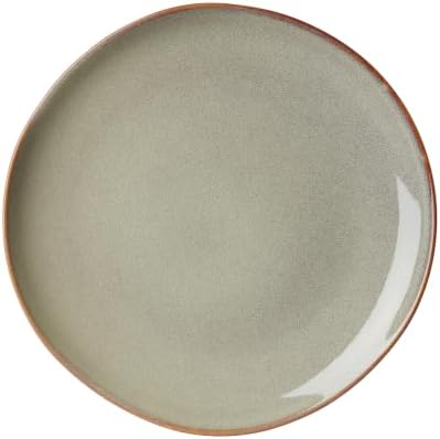 899053 Organic Shades Sage Green Dinner Plate in 1 Count in Green