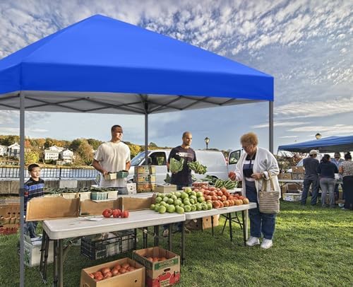 8x8 Pop Up Canopy, Heavy Duty Weather Protection, Royal Blue in Royal Blue, alternate view 2