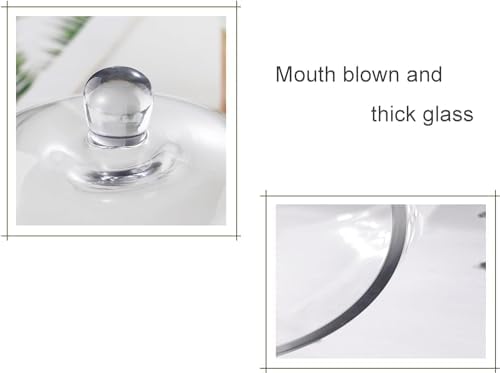9.6" Wide Handmade Sturdy Glass Cake Dome, Cake Cover Lid for Cake, Food and Display, Glass Topper For Cake, alternate view 4