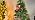 9.8FT 100 LED Battery Operated Firecracker String Lights, Multicolor, alternate view 7