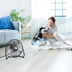 9 Inch Metal Floor Fan with Upgraded Airflow, Black in Black, alternate view 2