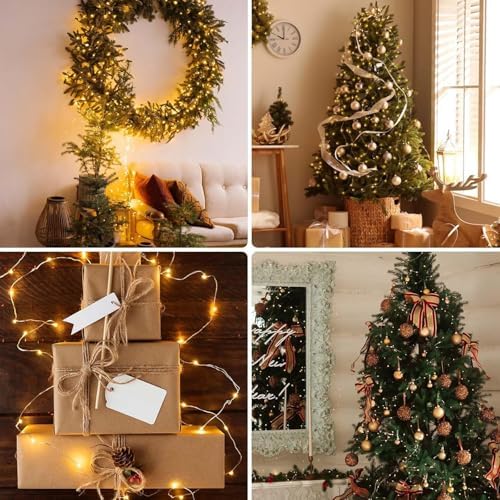 99FT 300 LED Fairy Lights with Remote, Plug in Twinkle Light Outdoor Indoor, alternate view 4